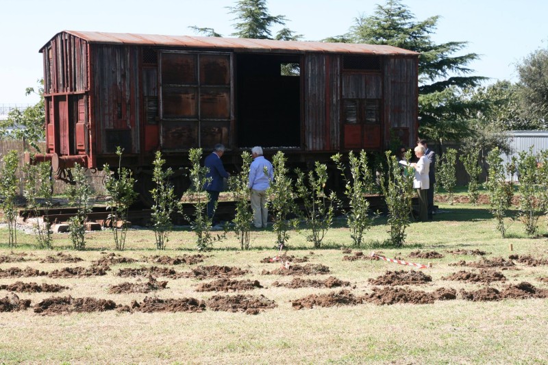 Gli allori già piantati del Labirinto della Memoria